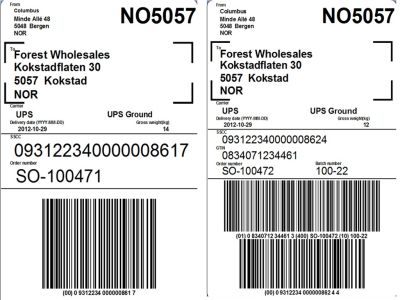 Barcode label